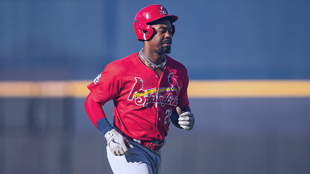 St. Louis Cardinals top prospects 2023: Jordan Walker could show off his  bat at Busch Stadium this year - CBSSports.com